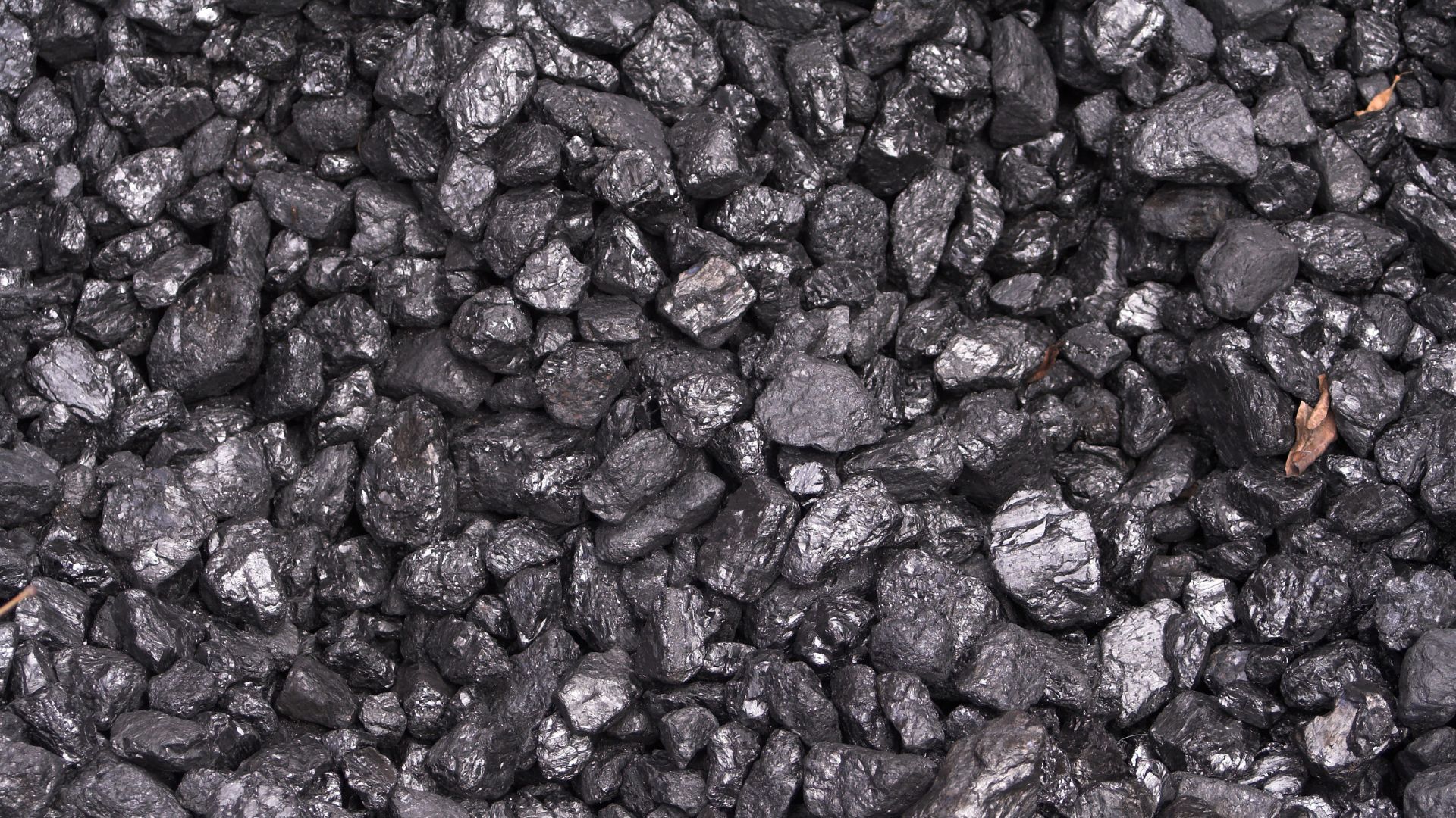 divi-cart-pro-beauty-about-2